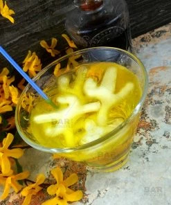 BarMan Cactus Ice Mold Tray - Silicone - 6 -BarMan Shop cactus ice mold tray bpc 5 700x700